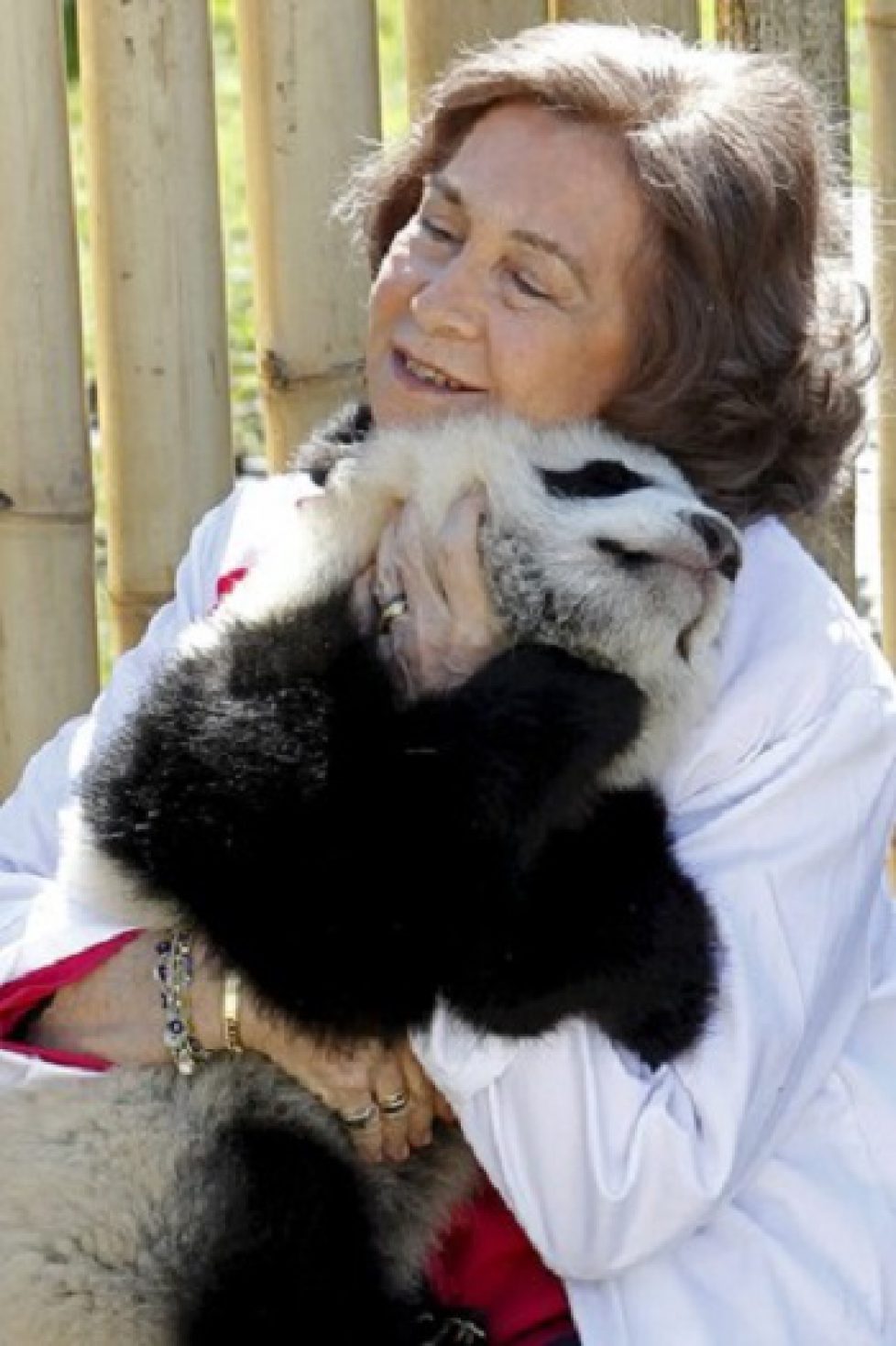 REINA SOFIA CON LOS OSOS PANDA DEL ZOO AQUARIUM DE MADRID