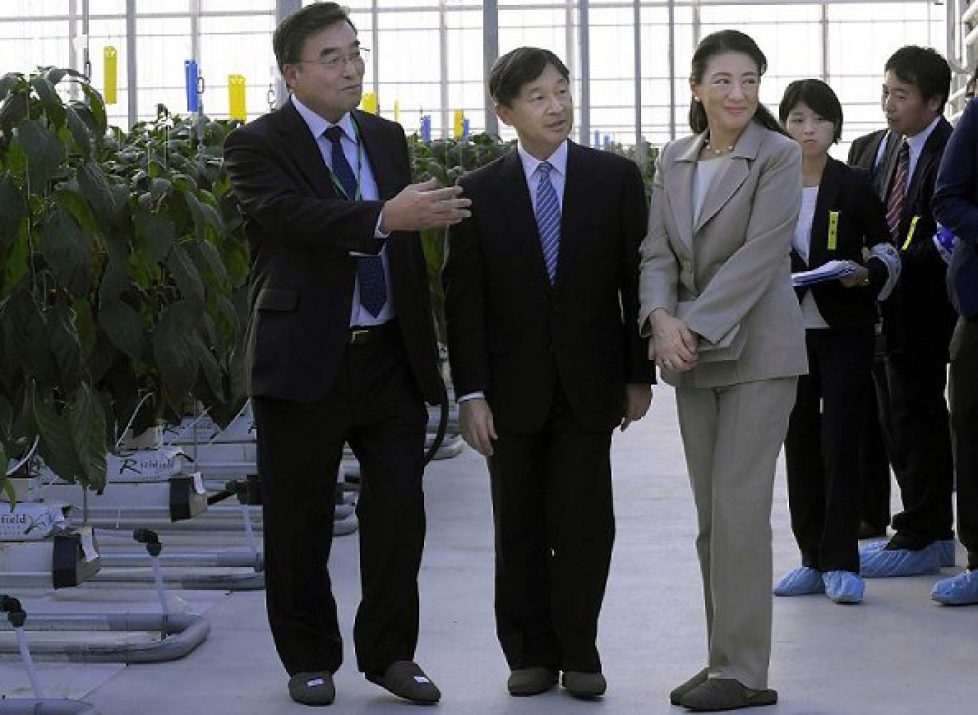 Prince-Naruhito-Princess-Masako-3