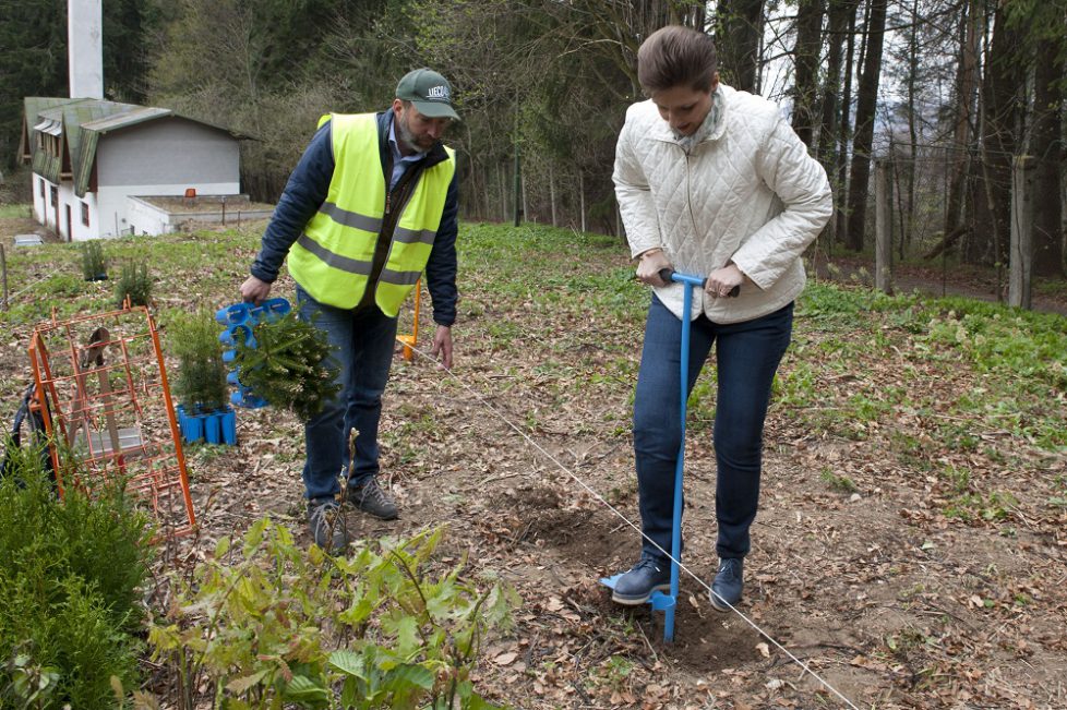 Principesa-Maria-actiune-de-plantare-Parcul-Regal-Peles-17-aprilie-2018-foto-Casa-MS-Daniel-Angelescu-12-1