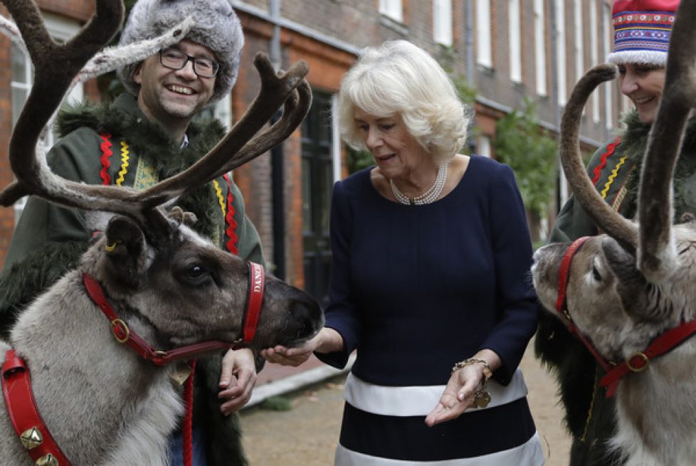 Duchess+Cornwall+Decorates+Clarence+House+_Lqyay1RXcnl