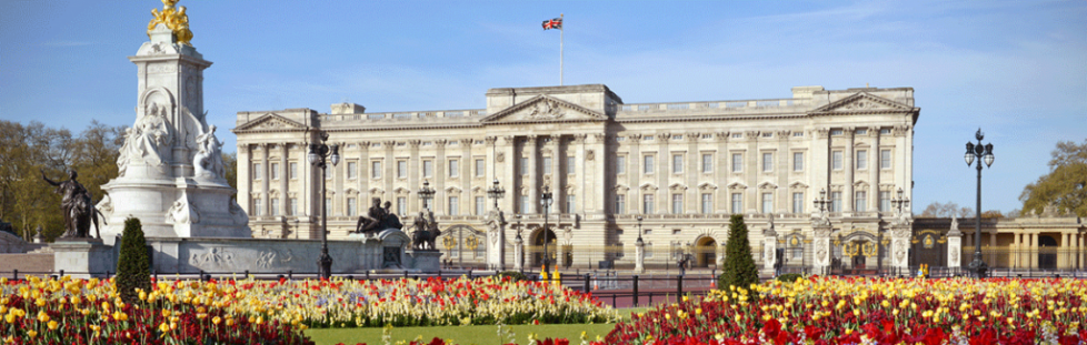 activite-buckingham-palace-2