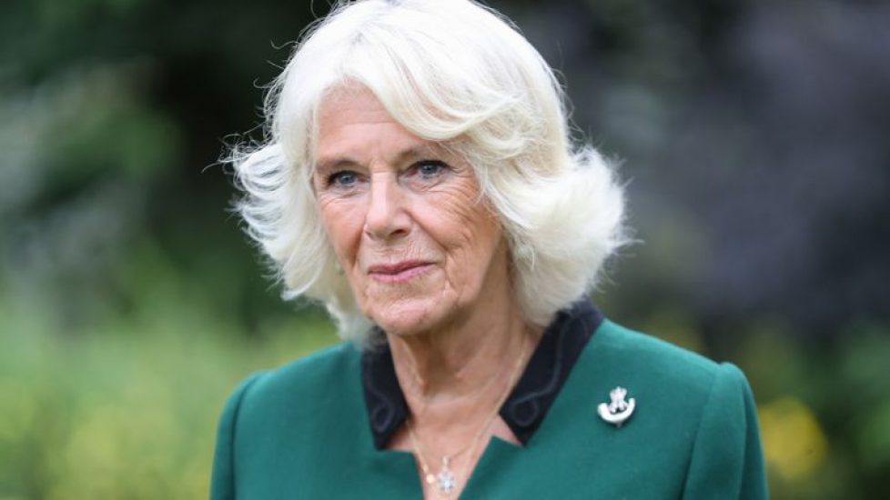 skynews-duchess-of-cornwall_5089804