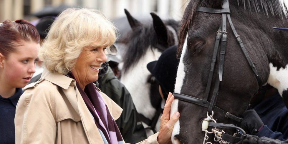 camilla-duchess-of-cornwall-meets-young-riders-during-her-news-photo-1621507563